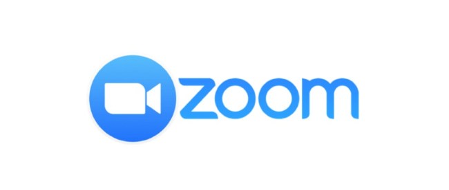 Zoom Logo